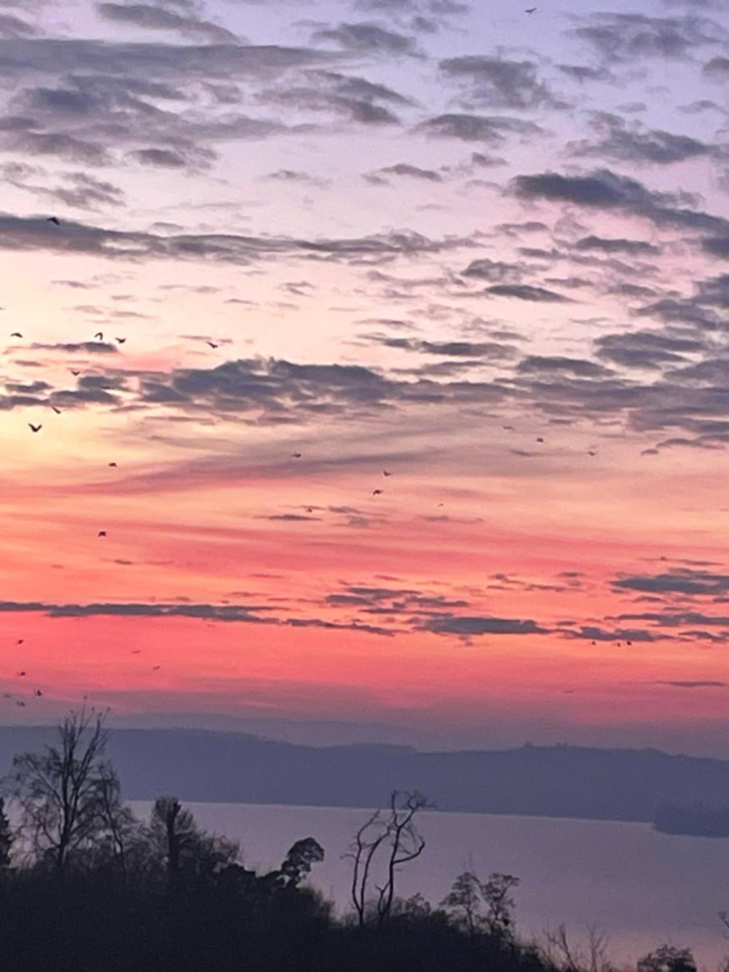 Ferienwohnung Urban - Ahorn -- Meersburg Zewnętrze zdjęcie